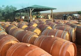    The Bravdo winery  